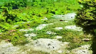 This place has many bubbling spots on the bottom, it looks so beautifu