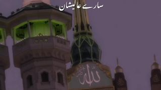 Saray aalushan