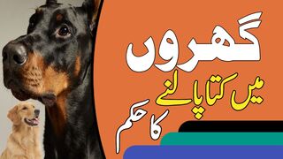Ghar Mein Kutta Palna Kaisa| Kya Kutta Palna Jaiz Hai |Kashif Raza|