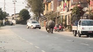 Amazing videos vol 363