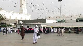 New   video foryou #fyp #viral #1M #ajmal #raza #qadri #itz_usman_editx#febdport