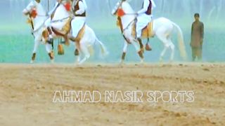 #foryou#febspotvedio #Foryoupage #trending #horselover #horse #500k #fyp #1M #impres.15 #foryou#treding#horses@vedios