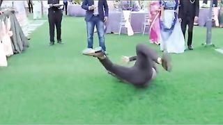 vijay best movie of 2023