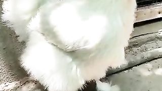 Birds are lovely