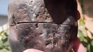 What is inside. Unbelievable