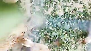This eatry ll eat