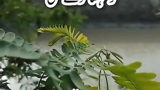 best sanck video clip