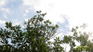 Cinematic Modification toyota Vios 3nd