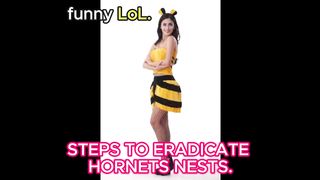 FUNNY BEE DESTROYER