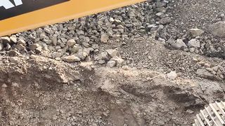 lovers_jcb_automobile_lovesong_excavator_jacb_dog_jcbc_construction_jcblove