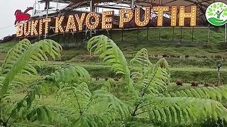 Bukit Kayoe Putih