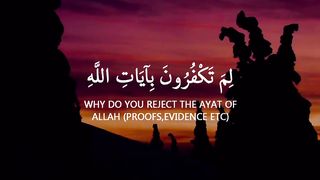 imran.nazeer07