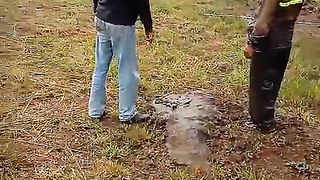 Bikin taman rumah