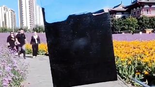Matching canvas with background. Video X.com | Art world