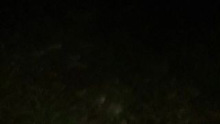 night hunting
