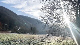 "Enchanted Earth: A Cinematic Celebration of Nature"