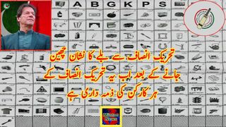 تحریک انصاف سے بلے کا نشان چھین جانے کے بعد