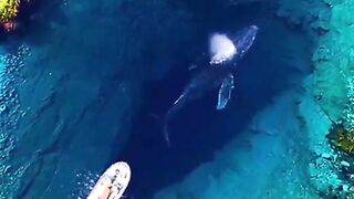 Deep holes in the ocean.