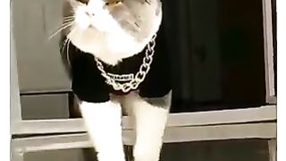 FUNNY LOL WIN