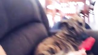 FUNNY LOL WIN