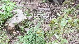 Rock Bouncer Conquer Blue Holler Bounty Hill #rockbouncer #rockbuggy #rockbuggies #rockbouncin