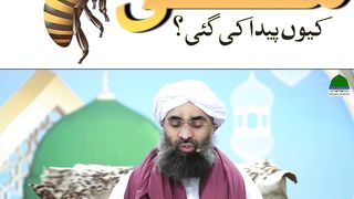 مکھی کیوں پیدا کی گئی