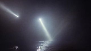 Alligator (1980)