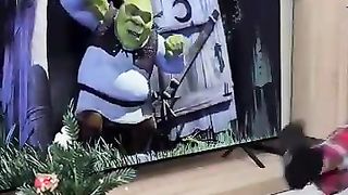 Shrek_Funny_Moment_????_#shorts_#funnyvideo_#memes (360p).