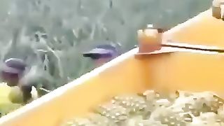 FUNNY LOL WIN