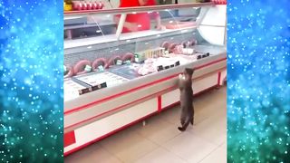 Эти кадры из Турции облетели весь мир! На это стоит посмотреть