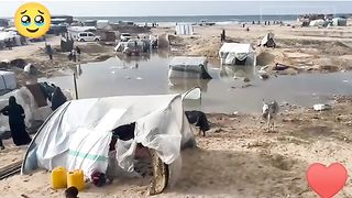 Palestine