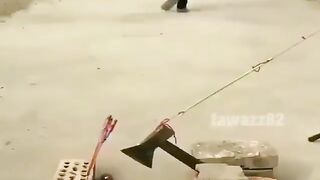 FUNNY LOL WIN