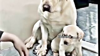 Никто на заменить маму❤️