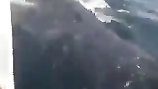 FUNNY LOL WIN