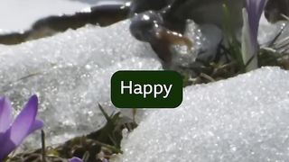 Frog ✨ glow up ✨ #PlanetEarth3