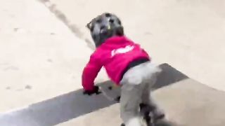 4yr old does his first BMX 'hop turn' ???????? #enjoytheride