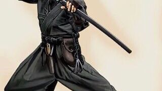 Unleashing the True Art of Ninja Combat: Jaw-Dropping Real Ninja Fights Revealed!