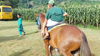 A Young Rider