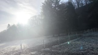 "Symbiotic Symphony: Nature's Dance Unveiled"