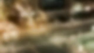 MACA LIVE НОВИНИ