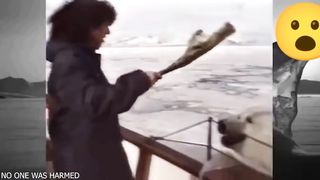 عندم تغض الحيوانات