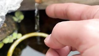 Amazing Water