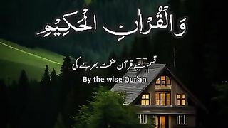 تلاوت قرآن کریم