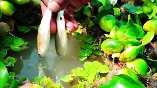 UNIQUE FISHING