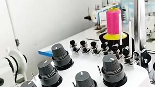 مشروع التظريز