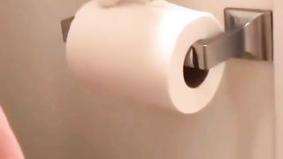 Cats. Funny animals