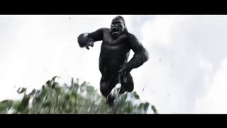 hon kong acceleration movi