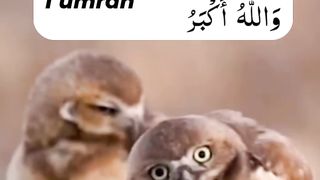 New   video foryou #fyp #viral #1M #ajmal #raza #qadri #itz_usman_editx#febdport