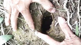 How to Remove the Fishing Hook Swallowed by Monster Eels