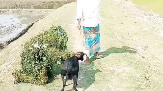 Funny video ????????????????